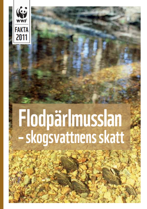 En illustration av rinnande vatten, med musslor och stenar vid vattenkanten med texten: "Flodpärlmusslan – skogsvattnens skatt" och en liten etikett med "FAKTA 2011".