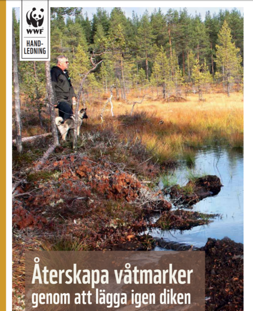 Omslag till dokument: En man med hund står vid kanten av en våtmark med vatten och vegetation i skogsområde. Text: "Återskapa våtmarker genom att lägga igen diken".