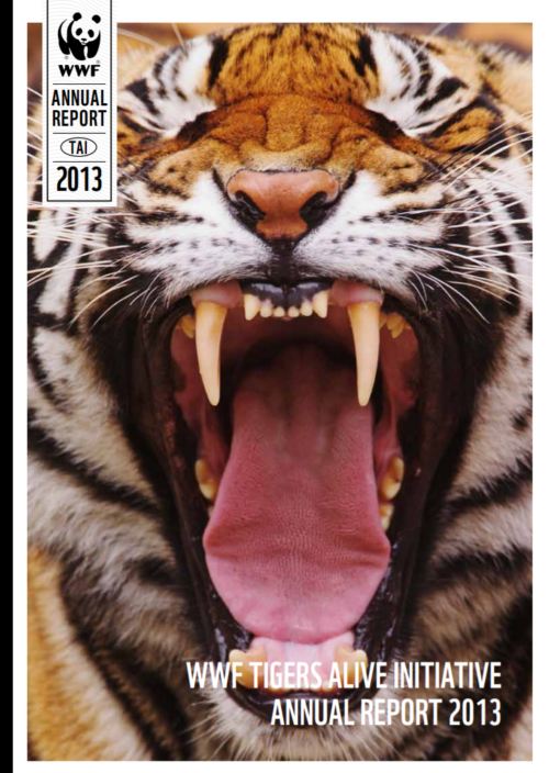 Närbild på tiger som gapar, med synliga tänder. Text: "TIGERS ALIVE INITIATIVE REPORT 2013".