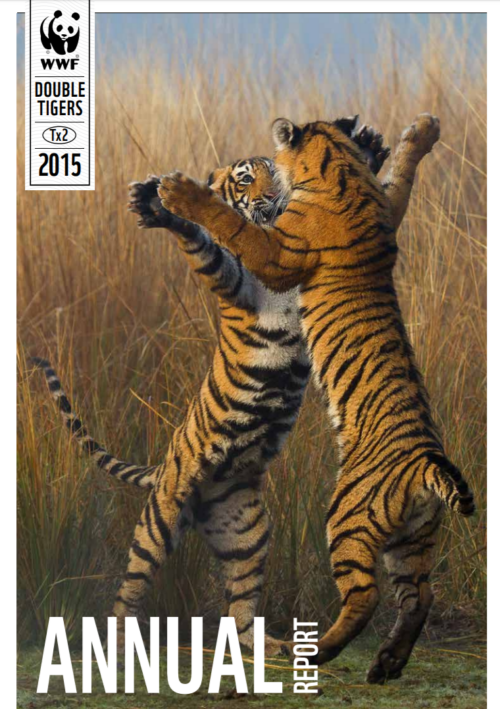 Två unga tigrar står upp, med framtassarna mot varandra och leker i högt gräs. Text: "ANNUAL REPORT. "DOUBLE TIGERS" och "2015"