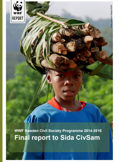 Ett barn bär en stor bunt trästockar och gröna blad på huvudet. Text: "WWF Sweden Civil Society Programme 2014-2016 Final report to Sida CivSam".