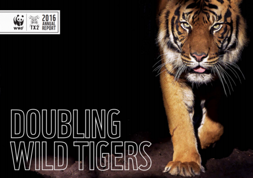 Tigerrapport 2016 thumbnail