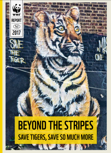 Beyond the Stripes thumbnail