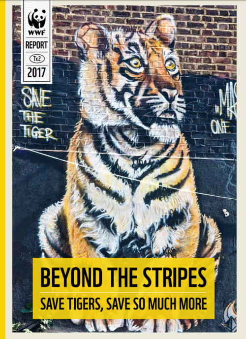 Beyond the Stripes thumbnail