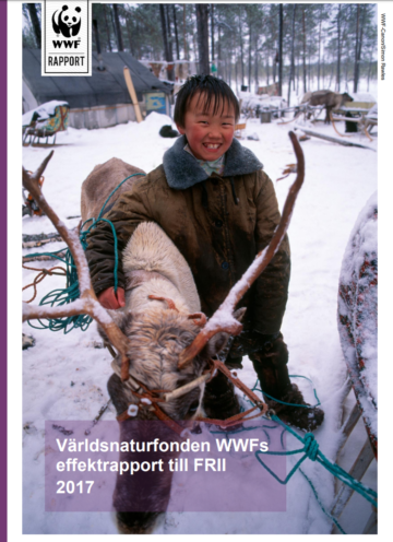 Ett leende barn i vinterkläder håller i en ren i snöigt landskap. Text: "Världsnaturfonden WWFs effektrapport till FRII 2017".