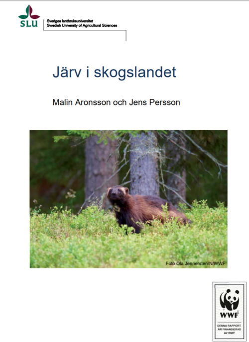 Järv i skogslandet thumbnail