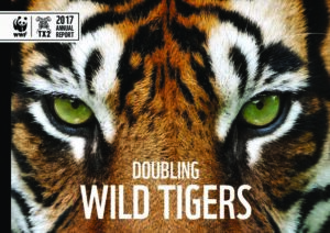 tigerrapport framsida