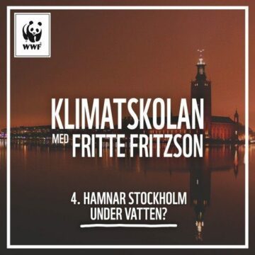 Klimatskolan Del 4: Hamnar Stockholm under vatten?