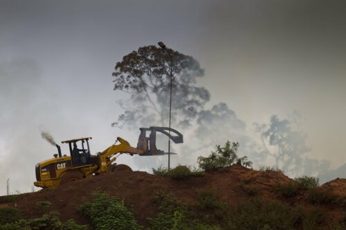 Regnskogsavverkning i Kamerun. Foto: Brent Stirton Getty Images WWF UK