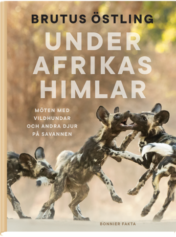 Bokomslag med tre afrikanska vildhundar som hoppar och biter lekfullt mot varandra. Bilden har en varm ton. Text i bilden: BRUTUS ÖSTLING UNDER AFRIKAS HIMLAR MÖTEN MED VILDHUNDAR OCH ANDRA DJUR PÅ SAVANNEN BONNIER FAKTA