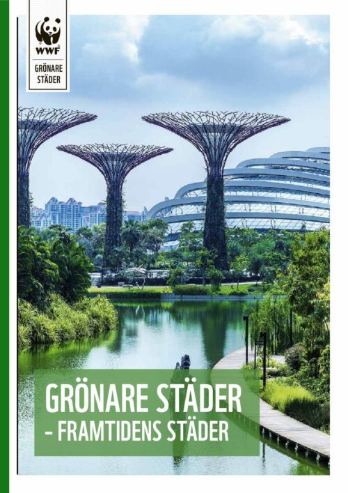 Grönare städer