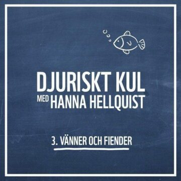 Djuriskt kul med Hanna Hellquist, avsnitt 3: Vänner och fiender – vem hjälper och vem stjälper