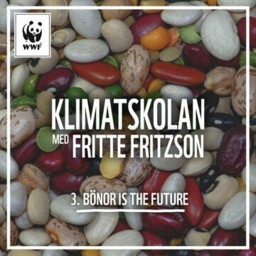 Klimatskolan, avsnitt 3: Bönor is the Future