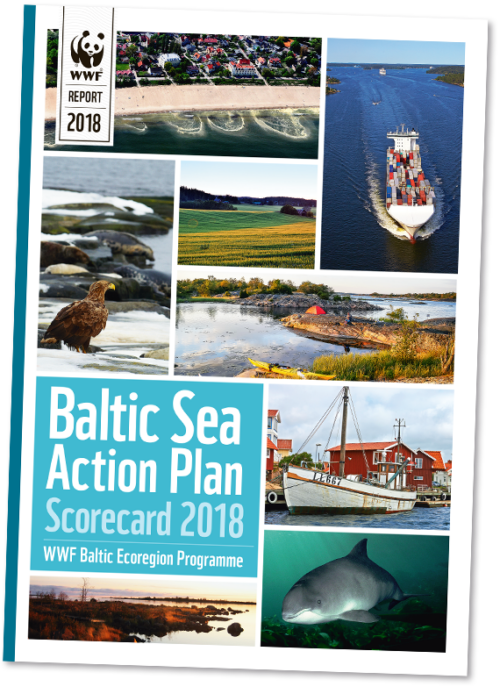 Baltic_scorecard_faximil_WWF_570px Text i bilden: "WWF REPORT 2018"; "Baltic Sea Action Plan Scorecard 2018"; "WWF Baltic Ecoregion Programme". Omslag med kollage: containerfartyg, fiskebåt i hamn, havsörn, tumlare, kust- och åkerlandskap.