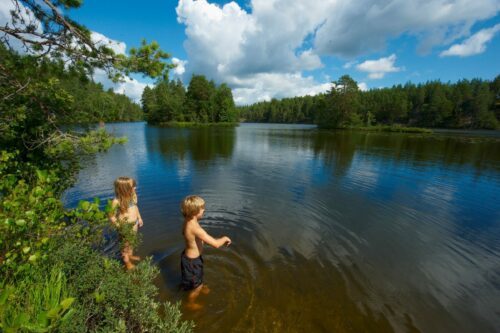 Barn vid skogstjärn