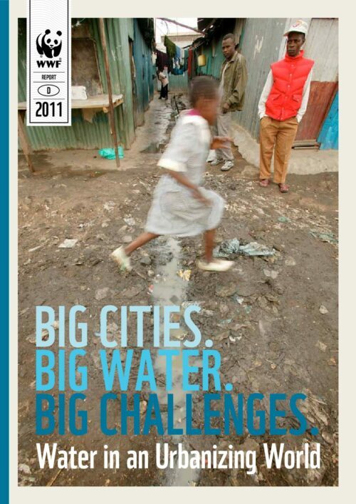 Big cities, big water, big challenges – Water in an urbanizing world