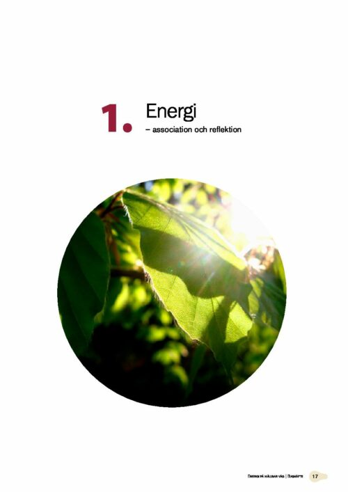 Energi på hållbar väg - Bashäfte: Kapitel 1
