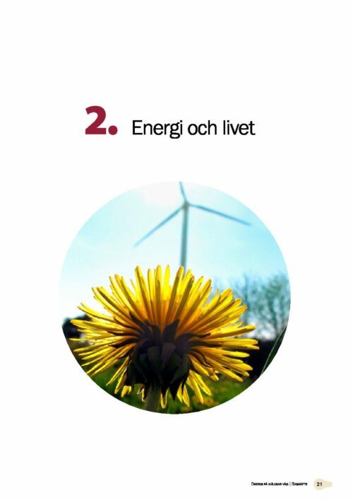 Energi på hållbar väg - Bashäfte: Kapitel 2