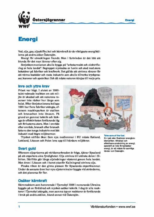 Östersjögrannar - Faktablad Energi
