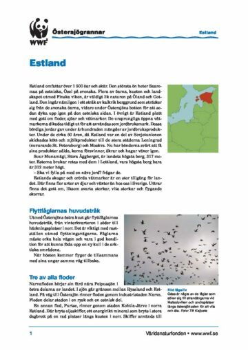 Östersjögrannar – Faktablad Estland Östersjögrannar - Faktablad Estland