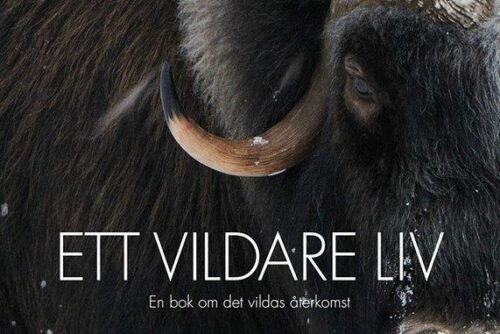 Ett vildare liv Goda resultat 2017