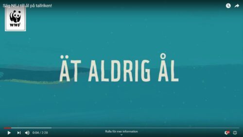 Film Ät aldrig ål Film Ät aldrig ål