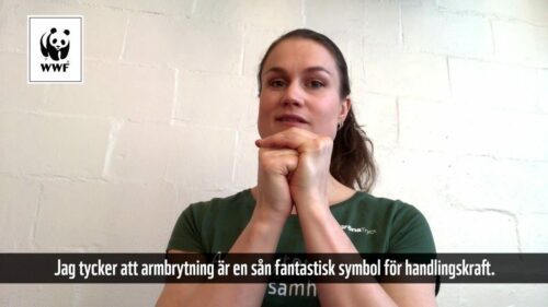 Kvinna knäpper händerna och tittar rakt fram. Text i bilden: "Jag tycker att armbrytning är en sån fantastisk symbol för handlingskraft." Logotyp: "WWF".