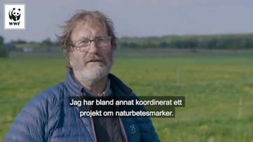 Naturbetesmarken – en skattkista av arter nära dig Naturbetesmarken - en skattkista av arter nära dig