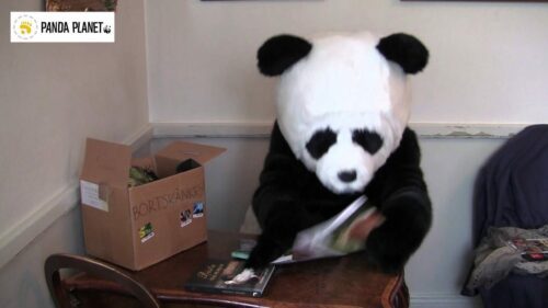 Pandafilmen Börsen Pandafilmen Börsen