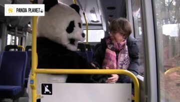 Pandafilmen om bilen