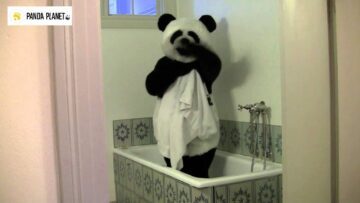Pandafilmen om Bostaden