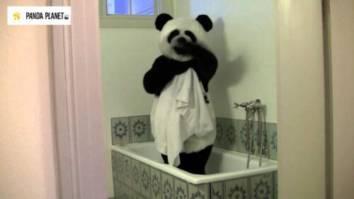 Pandafilmen om Bostaden