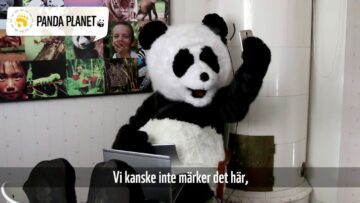 Pandafilmen om en rättvis värld - med tre utmaningar till DIG!