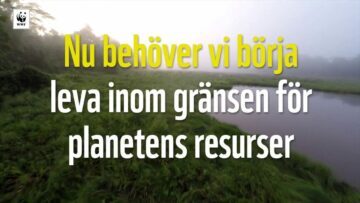 Tillsammans skapar vi en rättvis värld – testa dig själv och se hur DU kan bidra!