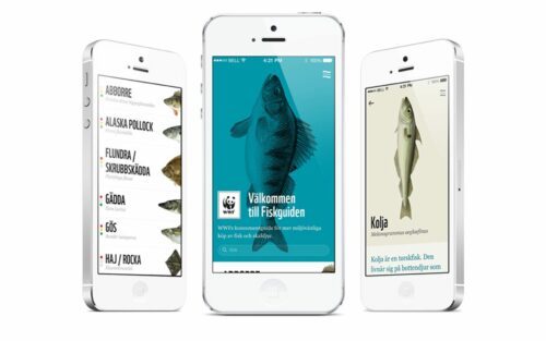 Fiskguiden app-bild