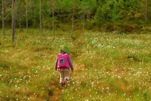 Flicka som vandrar över tallmosse