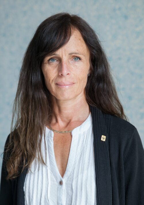 Gunilla Elsässer, Chef mat, klimat och energi