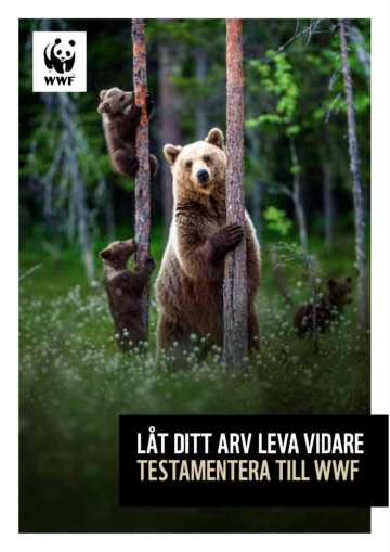 En björn och två björnungar klättrar på träd i en skog. Text: "LÅT DITT ARV LEVA VIDARE TESTAMENTERA TILL WWF".