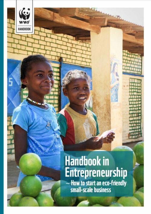 Två flickor ler och står vid en bord utomhus fyllda av gröna frukter. Text: "Handbook in Entrepreneurship. How to start an eco-friendly small-scale business" WWF-logotyp i övre vänstra hörnet.