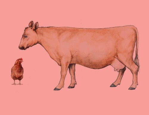 Illustration av en mjölkko med spenar stående bredvid en liten höna mot röd bakgrund, hela bilden har ett ljust rosa filter.