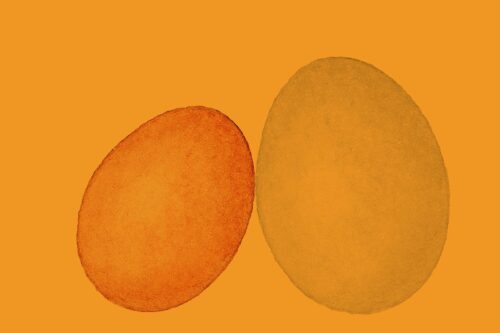 Två stiliserade ägg med akvarellstruktur, ett mindre brunorange till vänster och ett större ljusorange till höger. Hela bilden är orangetonat.
