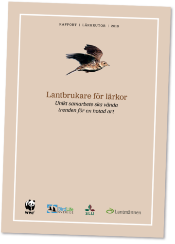 Lantbrukare_for_larkor_faximil_WWF_570px Omslag med flygande lärka, titel och logotyper för bevarandeprojekt. Text (transkription): RAPPORT | LÄRKRUTOR | 2018 Lantbrukare för lärkor Unikt samarbete ska vända trenden för en hotad art WWF BirdLife SVERIGE SLU Lantmännen