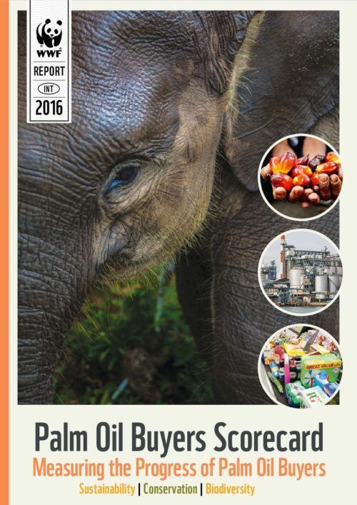 Palm Oil Scorecard – Measuring the Progress of Palm Oil Buyers – Report 2016