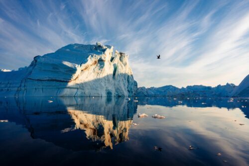 Stort isberg speglat i stilla vatten, solbelyst iskant och en ensam fågel flyger under klar, blå himmel. I Ilulissat, Grönland.