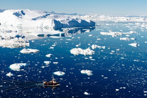 Liten fiskebåt som navigerar ett isfyllt, djupt blått hav mellan stora isberg medan måsar cirklar. Ilulissat, Grönland.