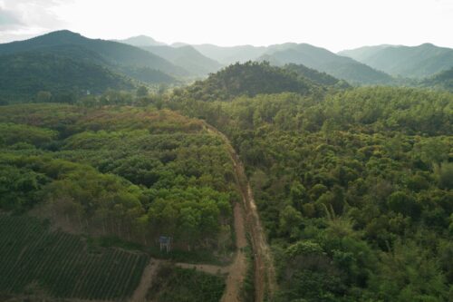 Natur och berg i Thailand