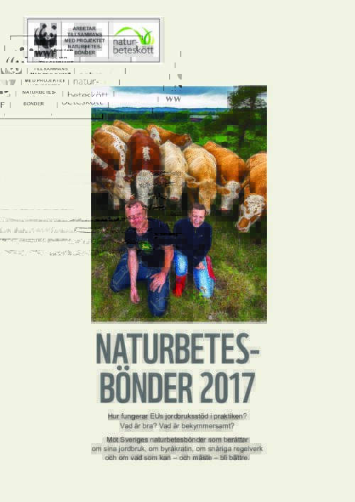 Två leende bönder hukar framför en flock betande kor på grön äng. Text i bilden: WWF (pandalogo) ARBETAR TILLSAMMANS MED PROJEKTET NATURBETES- BÖNDER naturbeteskött NATURBETES- BÖNDER 2017 Hur fungerar EUs jordbruksstöd i praktiken? Vad är bra? Vad är bekymmersamt? Möt Sveriges naturbetesbönder som berättar om sina jordbruk, om byråkratin, om snåriga regelverk och om vad som kan - och måste - bli bättre.