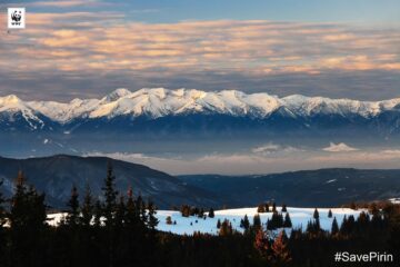 Snöklädda bergstoppar i kvällsljus, skogridå i förgrunden; text: "WWF" med WWFs logotyp och "©", samt "#SavePirin".