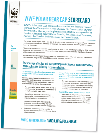 WWF-faktablad med rubrik om isbjörnars CAP-resultatkort, stapeldiagram för 62 åtgärder och rekommendationer för skydd och klimatåtgärder.