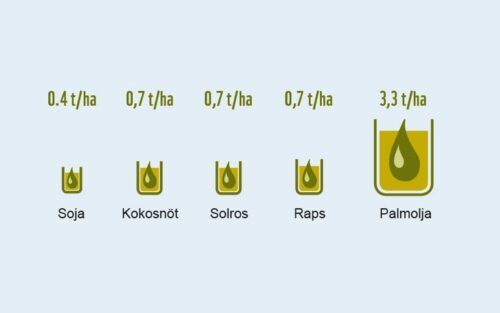 Jämförelse hur mycket olja som olika råvaror producerar